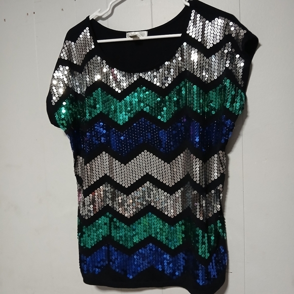 Dressbarn brand women's beautiful sequin Pullover top. Size 1X - Picture 1 of 9